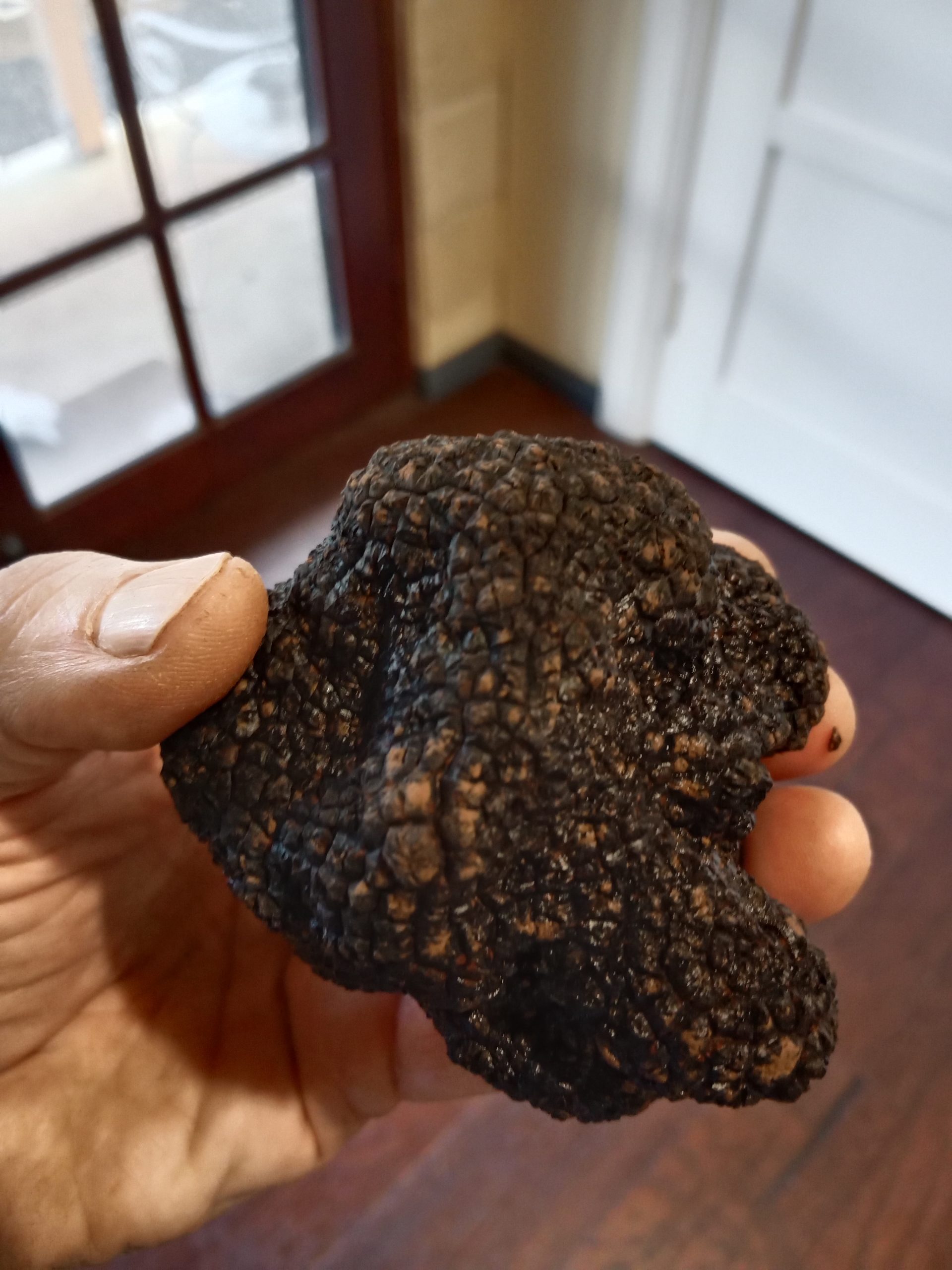 DuthilTruffle:2